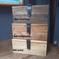 dąb jasny (5).png